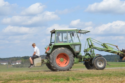 Abbau_25