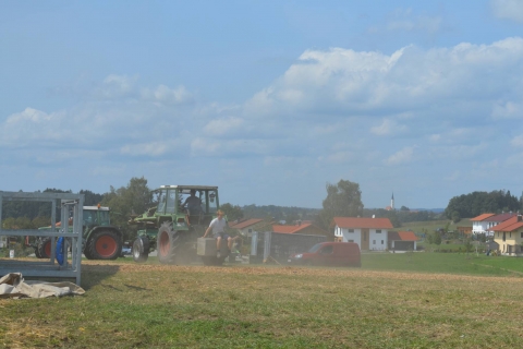 Abbau_28